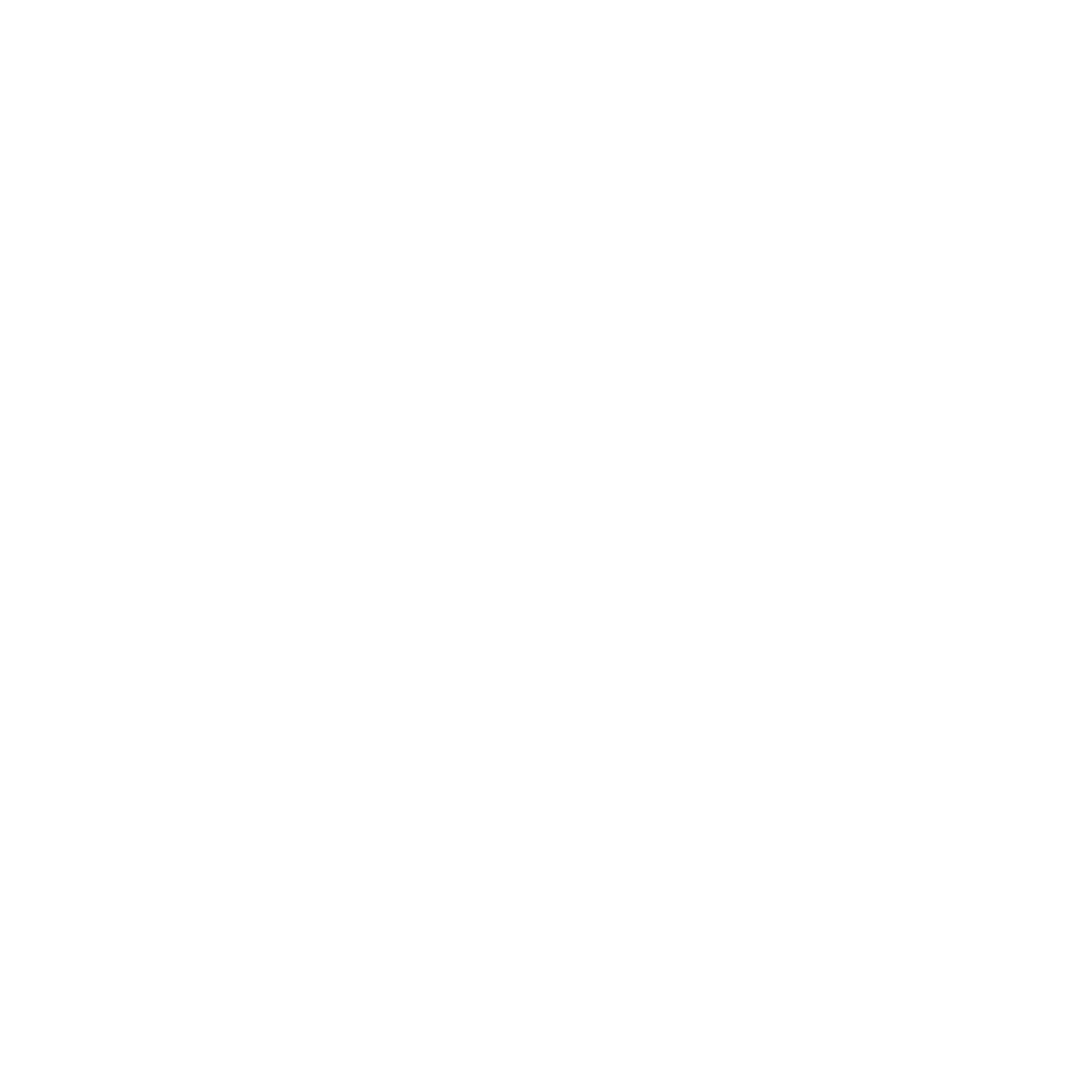 Logo CVortex