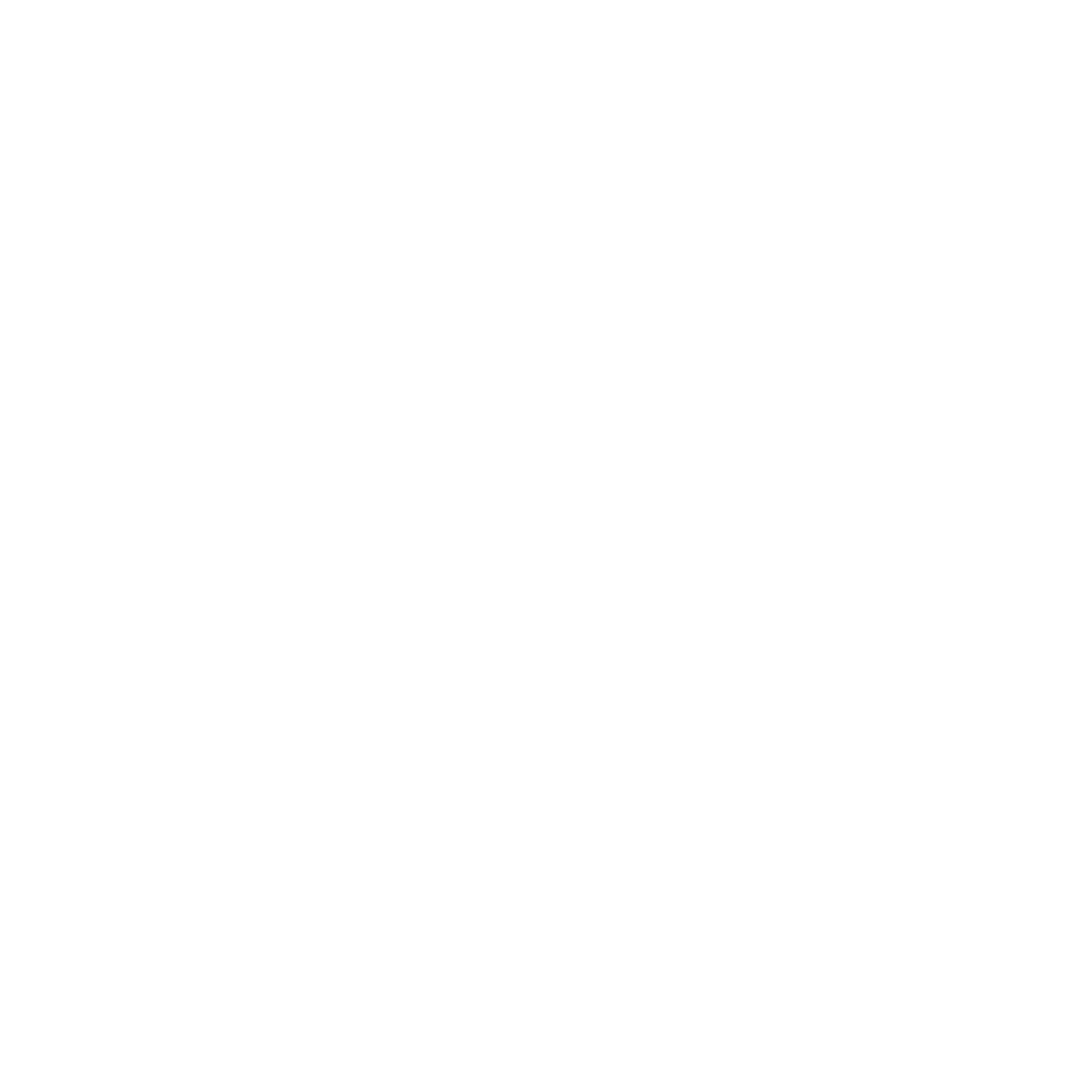 Logo Conquer