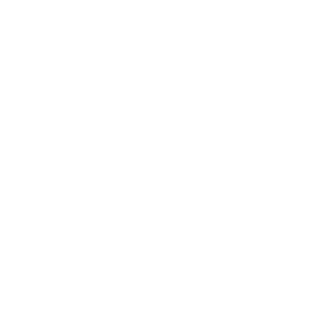 Logo Setin